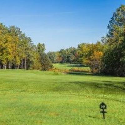 Jw Sig Cache A3a46ab1ce Woodland Fall 12 Compressed