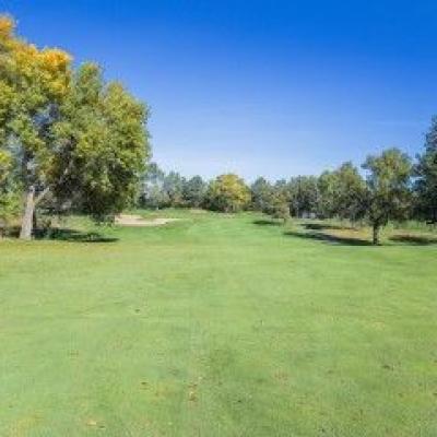 Jw Sig Cache A3a46ab1ce Woodland Fall 20 Compressed