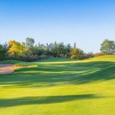 Jw Sig Cache A3a46ab1ce Woodland Fall 29 Compressed