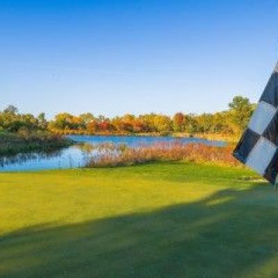 Jw Sig Cache A3a46ab1ce Woodland Fall 34