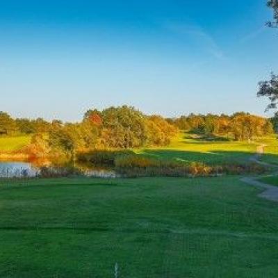 Jw Sig Cache A3a46ab1ce Woodland Fall 36