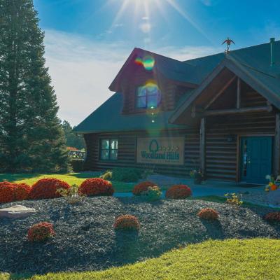 Woodland Fall 01 Compressed