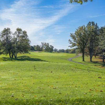 Woodland Fall 03 Compressed