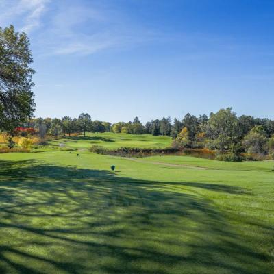 Woodland Fall 04 Compressed