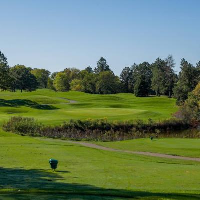 Woodland Fall 05 Compressed