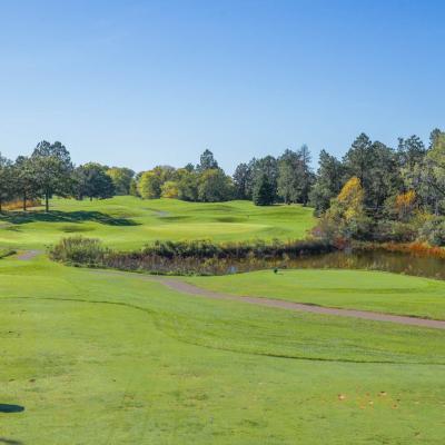 Woodland Fall 06 Compressed