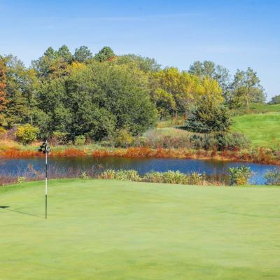 Woodland Fall 07 Compressed