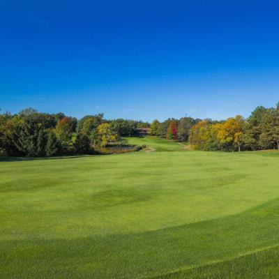 Woodland Fall 08 Compressed