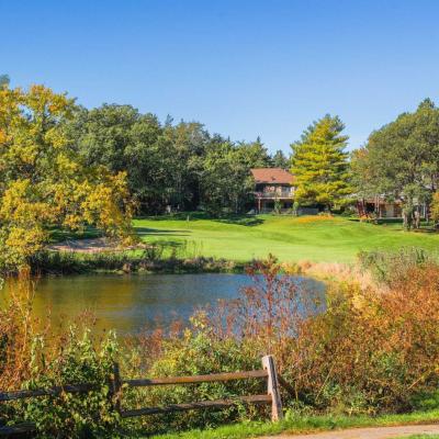 Woodland Fall 09 Compressed