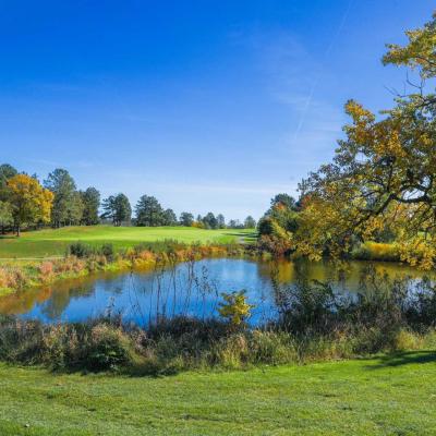 Woodland Fall 10 Compressed