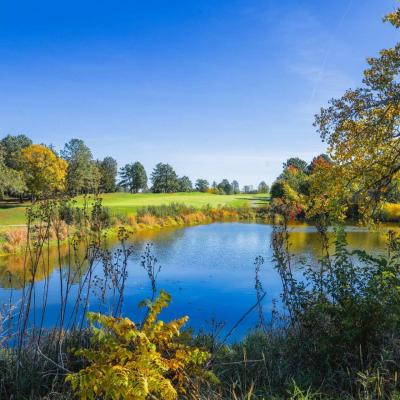 Woodland Fall 11 Compressed