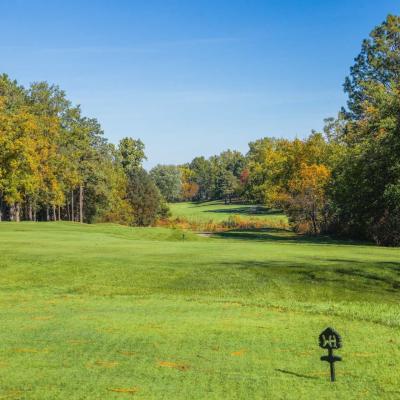 Woodland Fall 12 Compressed