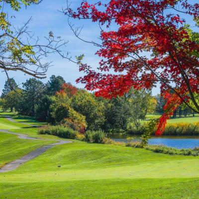 Woodland Fall 13 Compressed