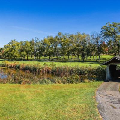 Woodland Fall 16 Compressed