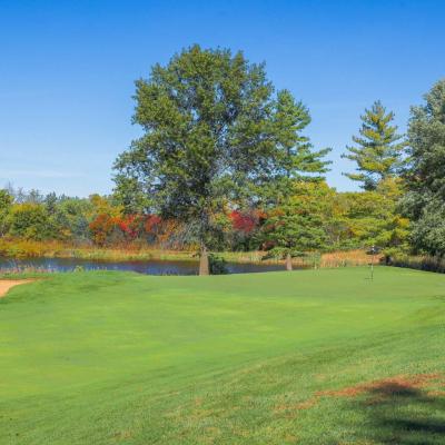 Woodland Fall 17 Compressed