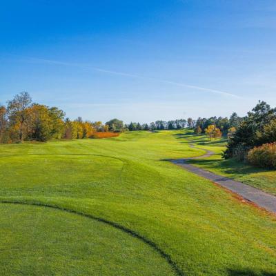 Woodland Fall 22 Compressed