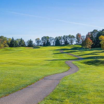 Woodland Fall 23 Compressed