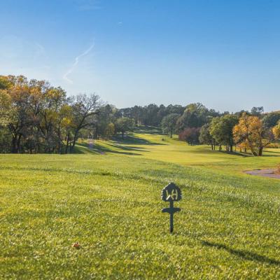 Woodland Fall 24 Compressed