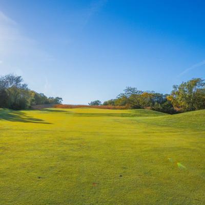 Woodland Fall 25 Compressed