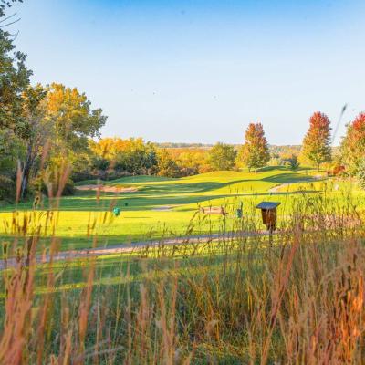 Woodland Fall 26 Compressed