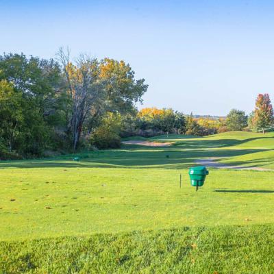 Woodland Fall 27 Compressed