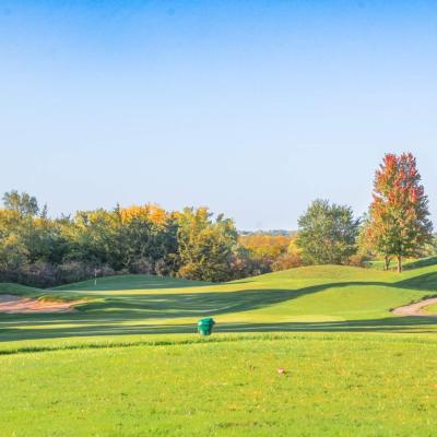 Woodland Fall 28 Compressed