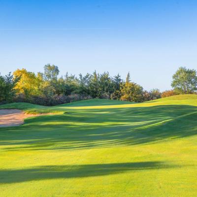 Woodland Fall 29 Compressed